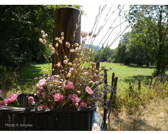 campagne-auvergne-cantal-vacances