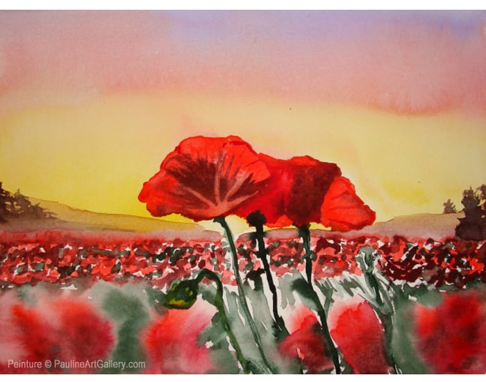 coquelicots-pauline-art-gallery