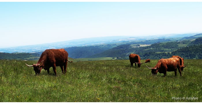 salers-cantal-auvergne-vacances-randonnées