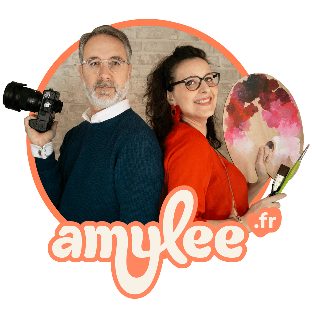 amylee gilles artistes conseil